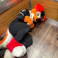 Kibou (@kibouc) 's Twitter Profile