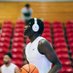 Larry Olayinka (@olayhamed) Twitter profile photo