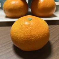 みかん🍊 (@mikan_prayer) 's Twitter Profile Photo みかん🍊 (@mikan_prayer) 's Twitter Profile Photo