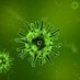 biologisteugenea (@bioeugenea) Twitter profile photo biologisteugenea (@bioeugenea) Twitter profile photo