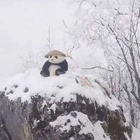 ForeverOW (@ow_forever) 's Twitter Profile