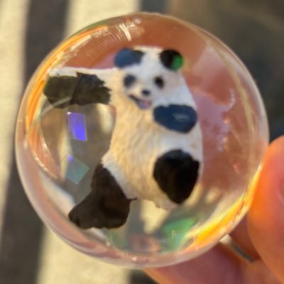 e_ehalab's profile picture. mwam/プリンちゃん/吉田さん/のファンです٩(ˊᗜˋ*)وたまに山に登ります／^o^＼動物が好き