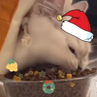 ౨ৎ 𝑩𝒖𝒕𝒕𝒆𝒓 𝒅𝒂𝒚𝒔 (@xuwwfon) 's Twitter Profile Photo ౨ৎ 𝑩𝒖𝒕𝒕𝒆𝒓 𝒅𝒂𝒚𝒔 (@xuwwfon) 's Twitter Profile Photo