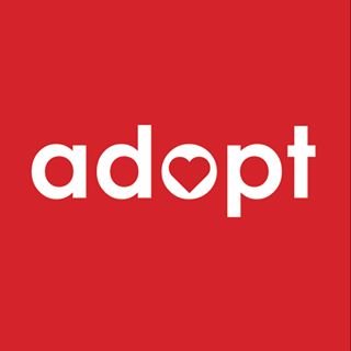 Indiana Adoption Program is a statewide initiative to find forever homes for youth in foster care. #adopt_in_IN