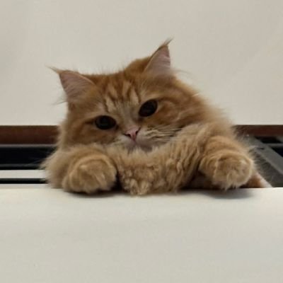 nonaalily's profile picture. 学习中文 HSK 3级 ｜just wanna live my life🌻