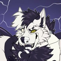 Frank 🔞 (@frankthemonwolf) 's Twitter Profile