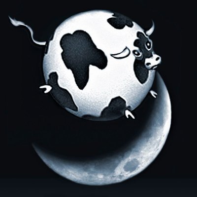 0xSphericalCow's profile picture.