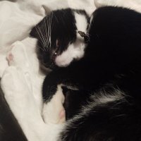 Petrajelly again (@petrajellyagain) 's Twitter Profile