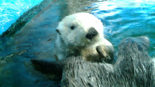 night_mare_jack's profile picture. 