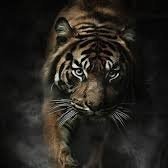 البحار بلال المليكي (@alb7ar1_) 's Twitter Profile