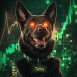 David Schwartz's dog on #XRP. $TABBY is being remembered as the #1 dog on the #XRPL. Zero dev allocation. Zero promises. #LongLiveTabitha #Tabal