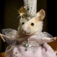 arlo 🦇 (@vamparlo) 's Twitter Profile Photo