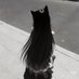 ⪩⪨ (@petcat) Twitter profile photo ⪩⪨ (@petcat) Twitter profile photo