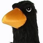 RadRaven_Ray's profile picture.