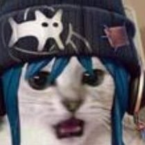 Mysterious Fucking Supporter||||||||||||||||||||||||||||||||||||| She/Her | Female | Intersex | Asexual | Taken | 21
🐱😺🐱