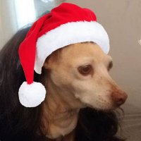 Jingle balls 🍒⚖️ (@beautyofertasmx) 's Twitter Profile Photo Jingle balls 🍒⚖️ (@beautyofertasmx) 's Twitter Profile Photo