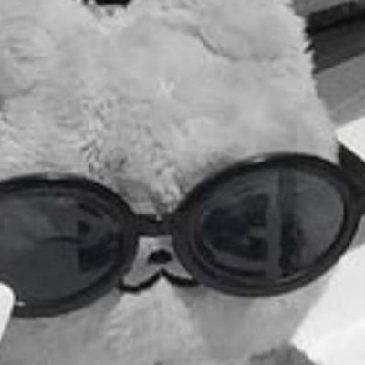 ocriisz's profile picture. #Flamengo 
#goloud