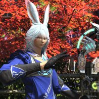 tail@ifrit (@tail_olive) Twitter profile photo