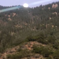 Justice and Righteousness (@fruitthatlast) 's Twitter Profile