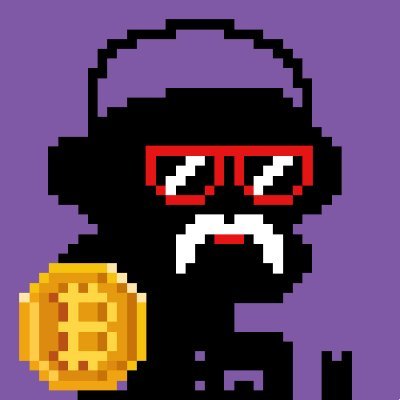 NimTian's profile picture.