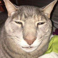 Sanguine (@sanguine0spirit) 's Twitter Profile