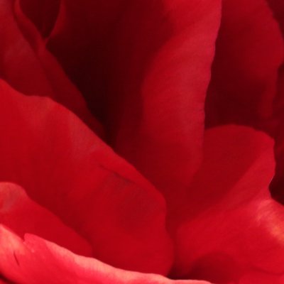 Guttaritsch's profile picture. Einzelheiten kann man überspringen.