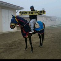 Hacı çelik (@haccelk) 's Twitter Profile