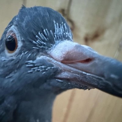 EU NASCI PARA FAZER MAIS DO QUE SÓ TRABALHAR, PAGAR CONTA E MORRER SEM VIVER
Instagram: @omuuhprado
