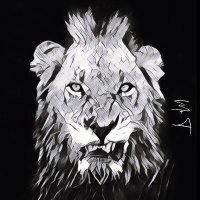 Mr T (@mrt_cryptoking) 's Twitter Profile