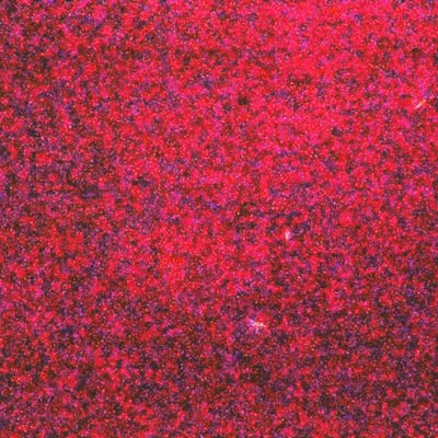 2024年3月から朝鮮好き👊🤓
朝鮮(韓)半島のメディア・音楽・文化が好き
政治では北朝鮮以外を支持します💪
共産主義の国は大体好きです。