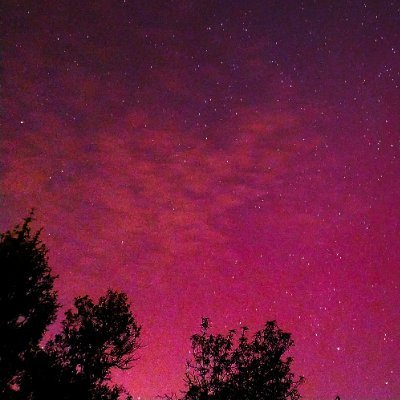 Geógrafo, enamorado de la naturaleza, astronomía y ciencia en general. Actualmente colaborando con Reforesta y ARBA para restauración de ecosistemas forestales