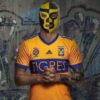 PierroTigre (@pierrotigre) 's Twitter Profile Photo PierroTigre (@pierrotigre) 's Twitter Profile Photo