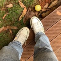 cal (@study66__) 's Twitter Profile