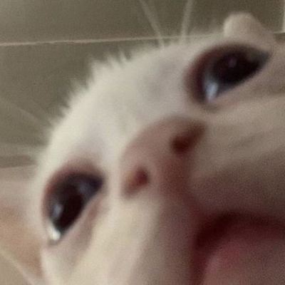 justpachacuti's profile picture. 