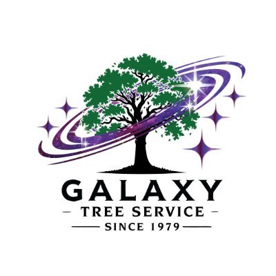 galaxytreemi's profile picture. At Tree Service of Troy, we’ve been taking care of trees for 44 years. We do everything from pruning and removing trees to grinding down stumps and more.