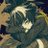 jayceewannabe's profile image