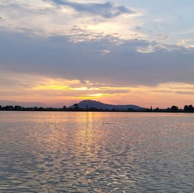 SrikarAnanthula's profile picture. CA by Profession - Citizen by Birth! 🇮🇳