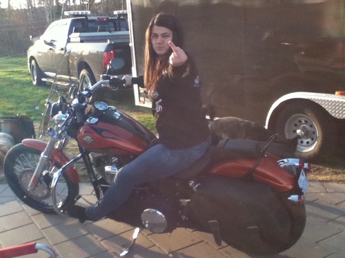 BoDean6666's profile picture. 