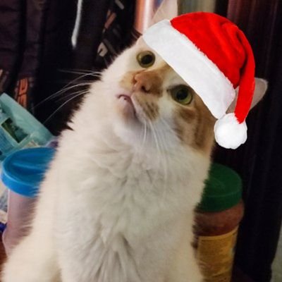 innocent_hac's profile picture. I play and discuss csgo and its market.
I play Half Life as well.
Source 2 conspiracy club.