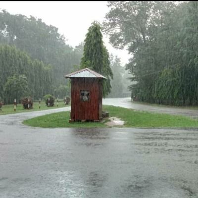 assengadanny's profile picture. fides et ratio:

fides querit, inteligentia invenit