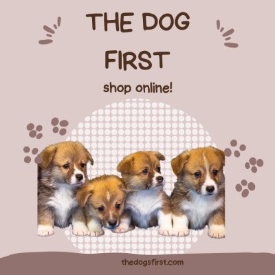 Shop smarter, love harder—The Dogs First Shop.