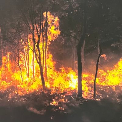 FiInReEr's profile picture. Thoughts about Life, Markets and Investing. Pursuing Financial Independence through personal development and self education.