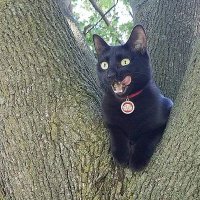 Rico L. Phillips (He/Him) (@ricoflealips) 's Twitter Profile Photo