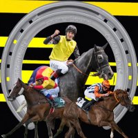 alvaro sainz (@sainz442alvaro) 's Twitter Profile