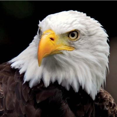 ScottUnited05's profile picture. My pronouns are U.S.A. American Patriot, MAGA 4ever. Standing for the Red, White & Blue. P.S-LIBS 🤪SUCK! #IStandWithTrump