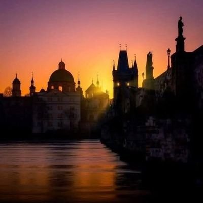 singularprague's profile picture. 