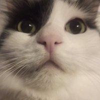edu!! (@echocore_) 's Twitter Profile
