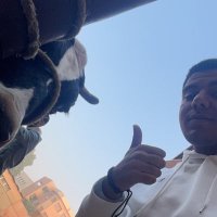 josh🇵🇸 (@jo0_sh22) 's Twitter Profile Photo