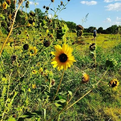 Nature & Science 🦋 Science for all 🌎 The Great Outdoor Classroom Project 🌻 21st century learning in Outdoor + Online Environments📱🌳