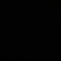 Sara (@sarayigit) 's Twitter Profile